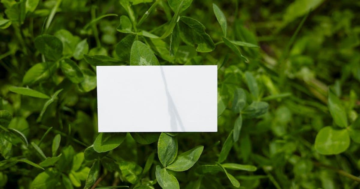 Branding Consistency in Web Design – Your Complete Playbook for 2025